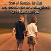 pipa_14