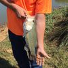 zack_002