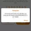 voitucay497