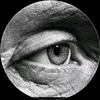 bahaa_haider