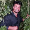 halilhodic