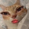 matchalatte7_5