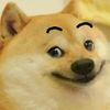 danny236236