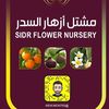 عبدالرحمن الدوسري