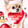 x.cozychristmas.x