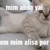 baunilha____