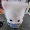 みたん