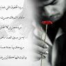 samialfahad7