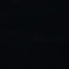 pepega.3