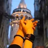 ma_24868