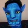 vivianamolteni