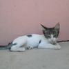claudiaalcaraz32