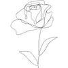 niewidzialnarose