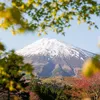 毎日富士山
