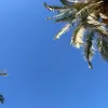 atarmelene