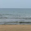 pvtfeed