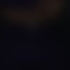 thisappsucksss