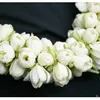 reem_1323