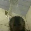 nprsncnchngvrthng