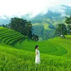 Thu Quyên