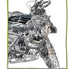 morocycle