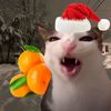 poccur_t0n