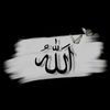hamzasaleem776