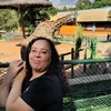 rosagallicaa