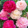 user68yx7bk2c9