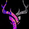badr_mj18