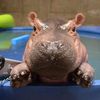 Cincinnati Zoo