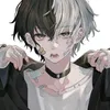 1j.ijl