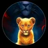 user799790055
