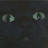 Neko_Ireng