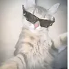 me_isilveron