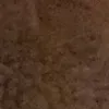 spammingyou303