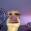 ezdkim._