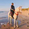 adel_shamlakh