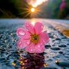 sandeepbenipal73