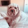 crookyyy1