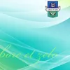 mfdy_99