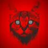 gypnocat