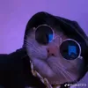 hashlex_2.0