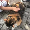 sabinamica951