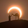 القران الكريم
