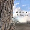 rody_007_