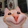 usernamenaaaaaiiii