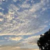 skyusers9