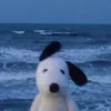 http_d0da