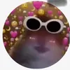 alexia_lloyd